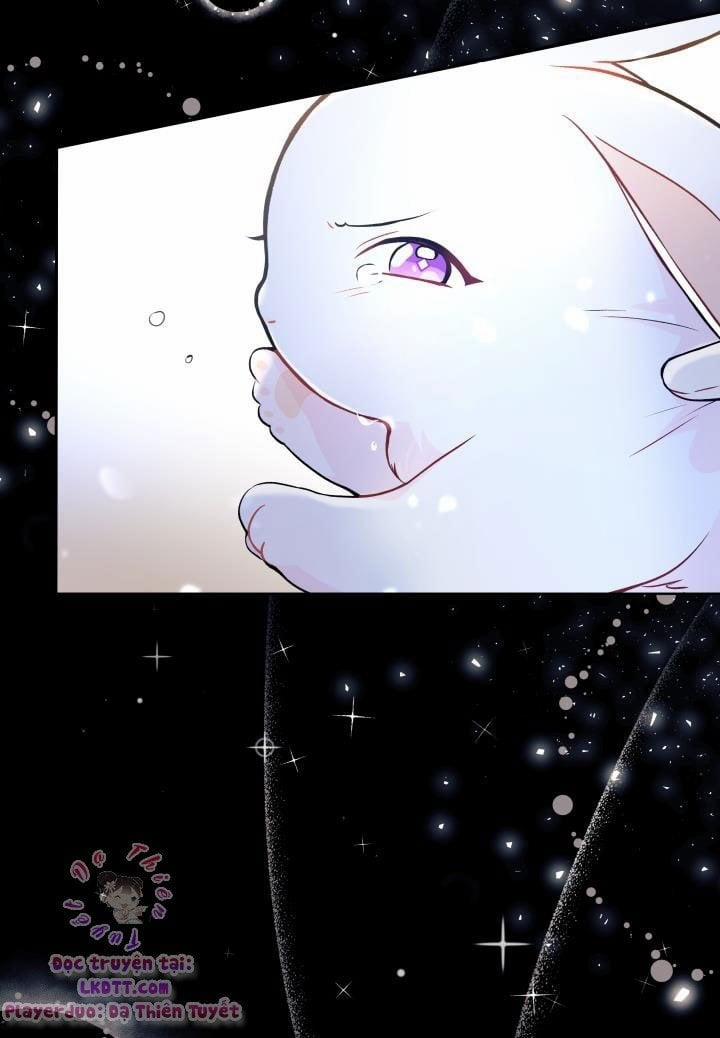 Quan Hệ Cộng Sinh Giữa Hắc Báo Và Bạch Thỏ 1 trang 29