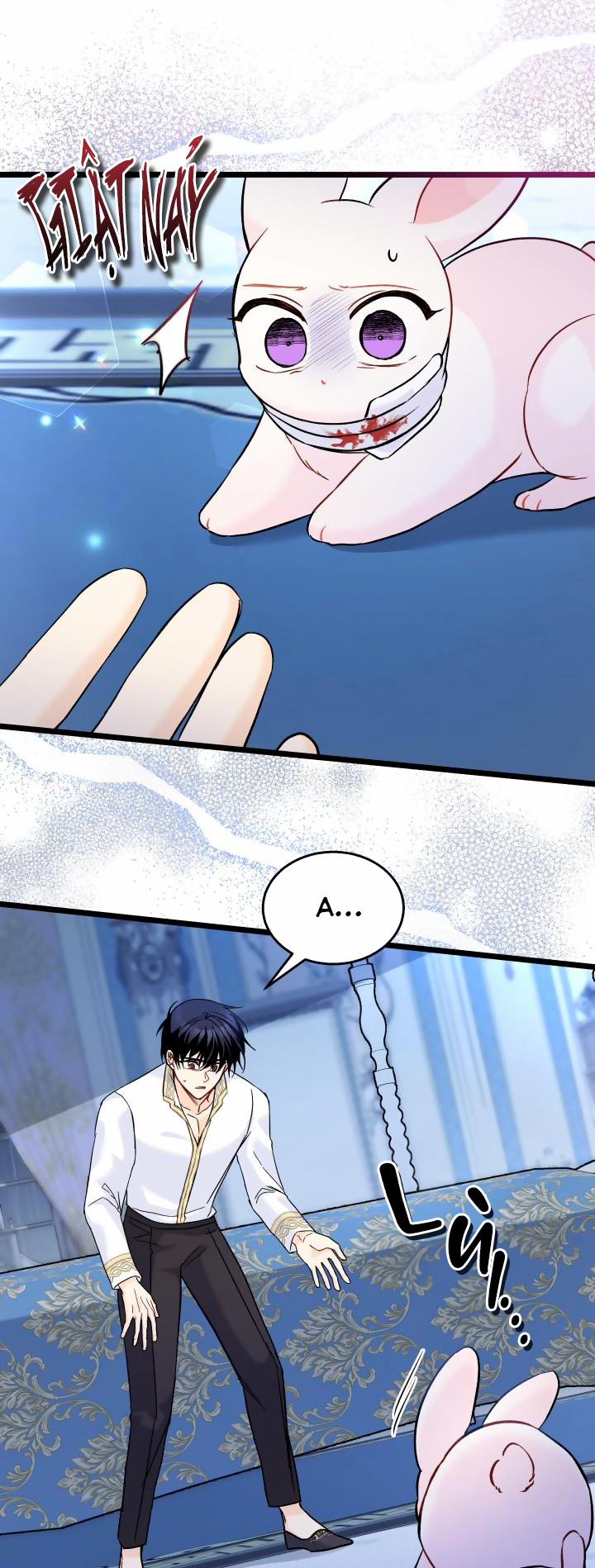 Quan Hệ Cộng Sinh Giữa Hắc Báo Và Bạch Thỏ 120.1 trang 11