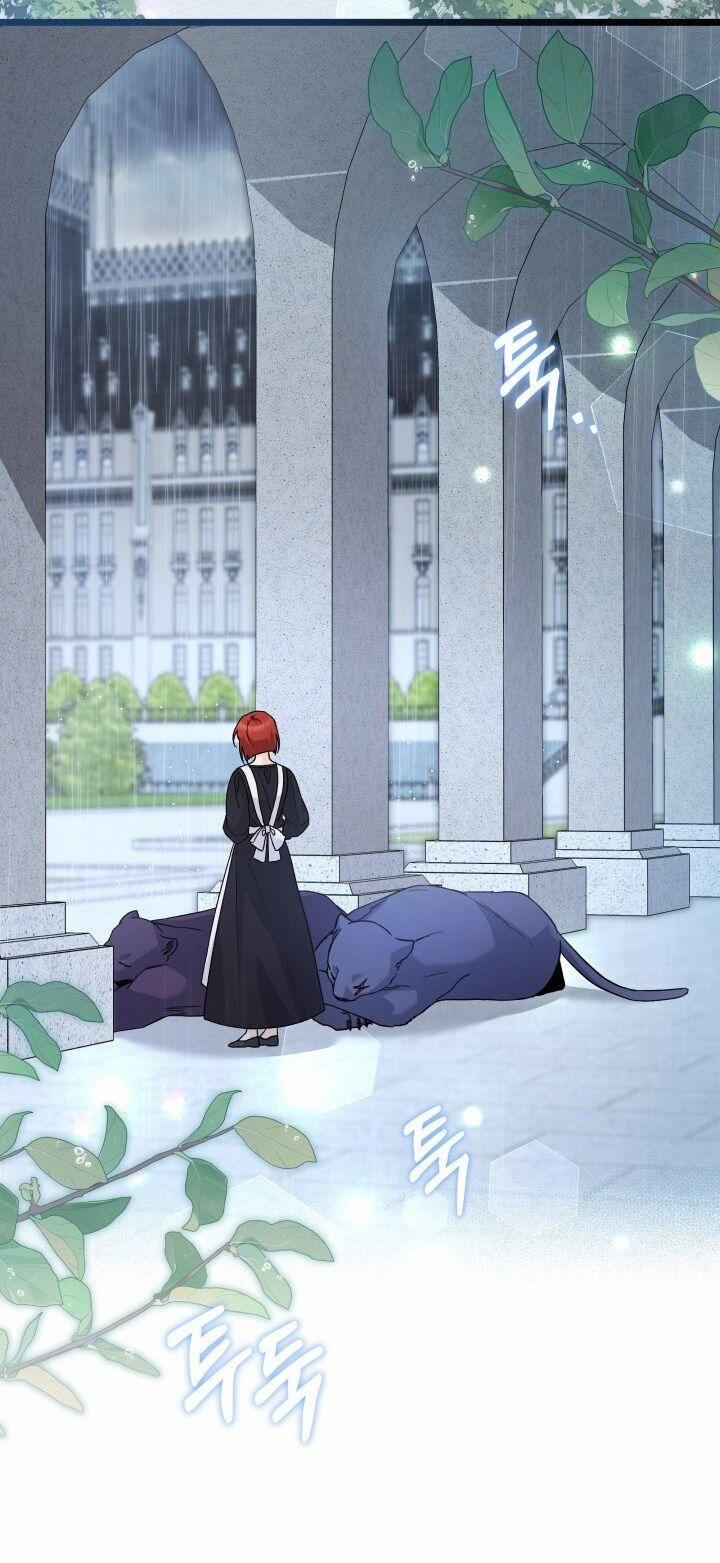 Quan Hệ Cộng Sinh Giữa Hắc Báo Và Bạch Thỏ 121 trang 15