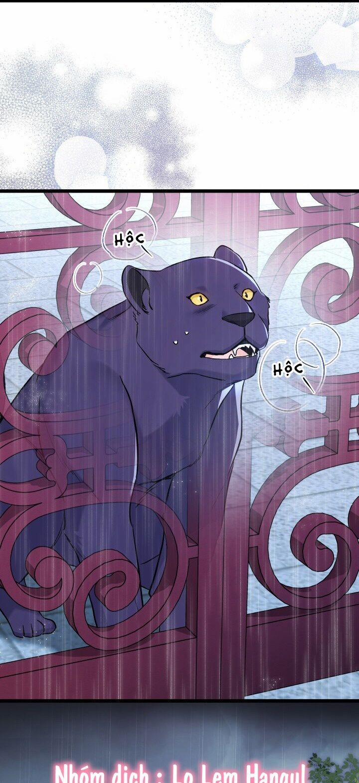 Quan Hệ Cộng Sinh Giữa Hắc Báo Và Bạch Thỏ 121 trang 39