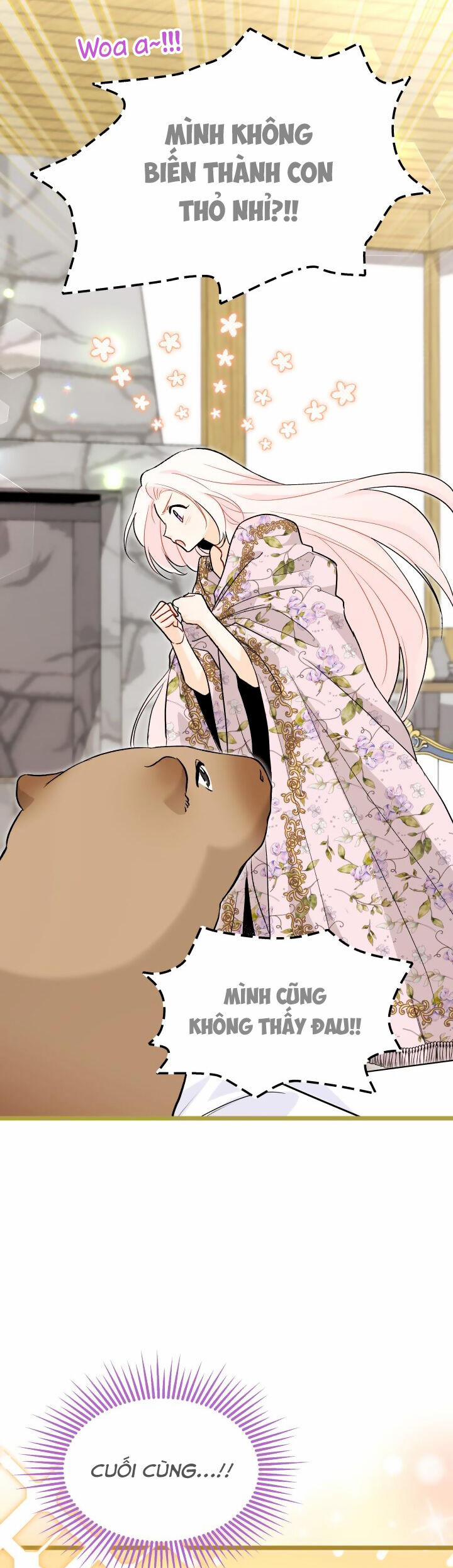 Quan Hệ Cộng Sinh Giữa Hắc Báo Và Bạch Thỏ 123 trang 21