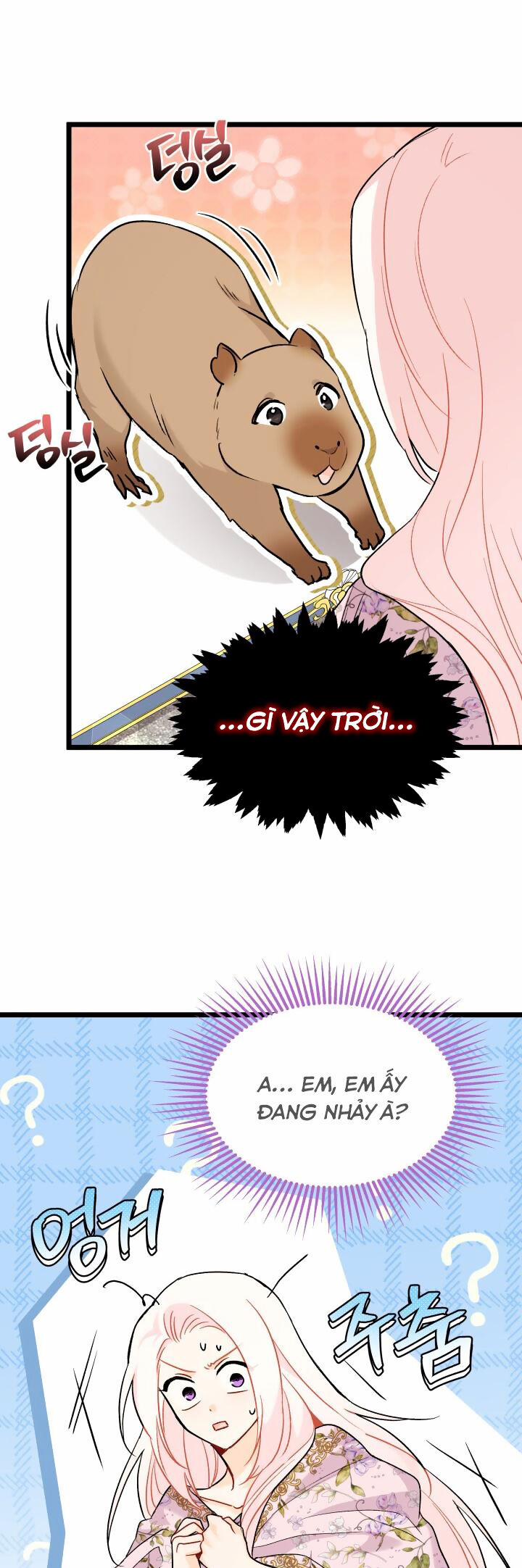 Quan Hệ Cộng Sinh Giữa Hắc Báo Và Bạch Thỏ 123 trang 26