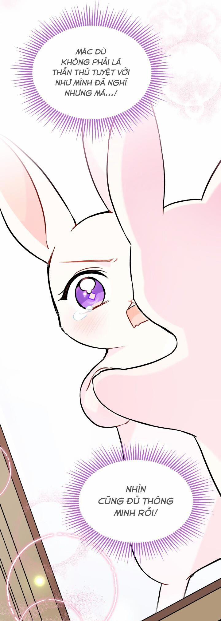 Quan Hệ Cộng Sinh Giữa Hắc Báo Và Bạch Thỏ 123 trang 39