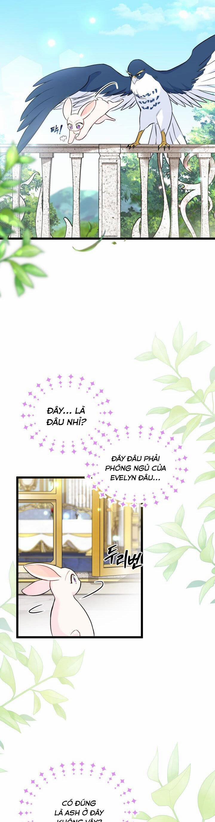 Quan Hệ Cộng Sinh Giữa Hắc Báo Và Bạch Thỏ 134 trang 1