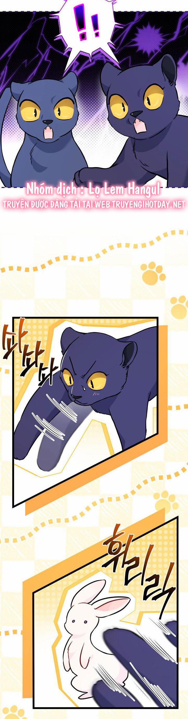 Quan Hệ Cộng Sinh Giữa Hắc Báo Và Bạch Thỏ 134 trang 10