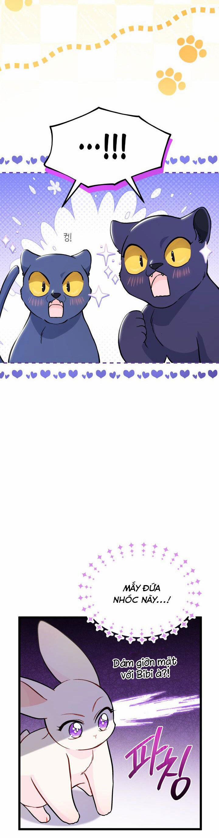 Quan Hệ Cộng Sinh Giữa Hắc Báo Và Bạch Thỏ 134 trang 11