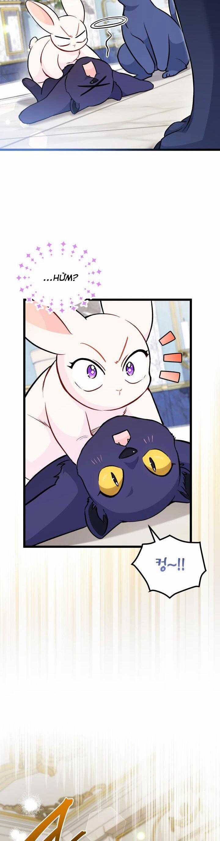 Quan Hệ Cộng Sinh Giữa Hắc Báo Và Bạch Thỏ 134 trang 13