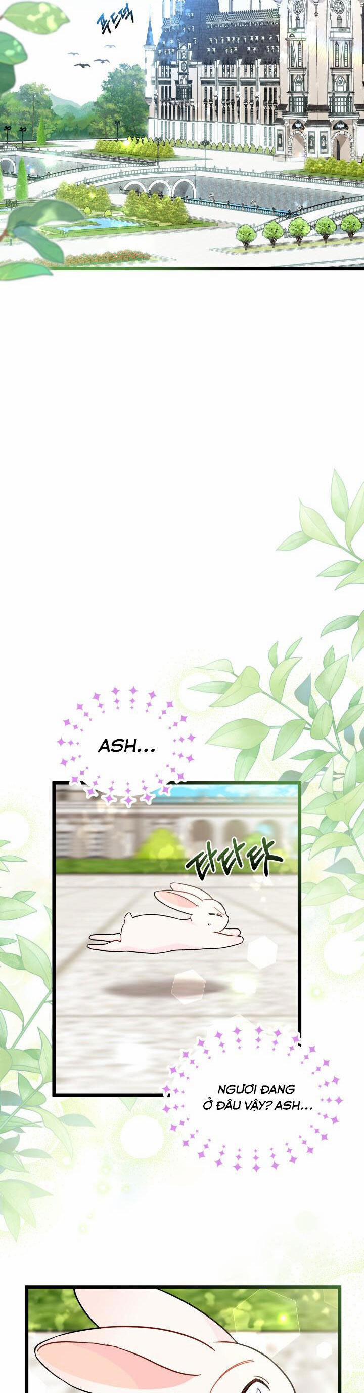 Quan Hệ Cộng Sinh Giữa Hắc Báo Và Bạch Thỏ 134 trang 25