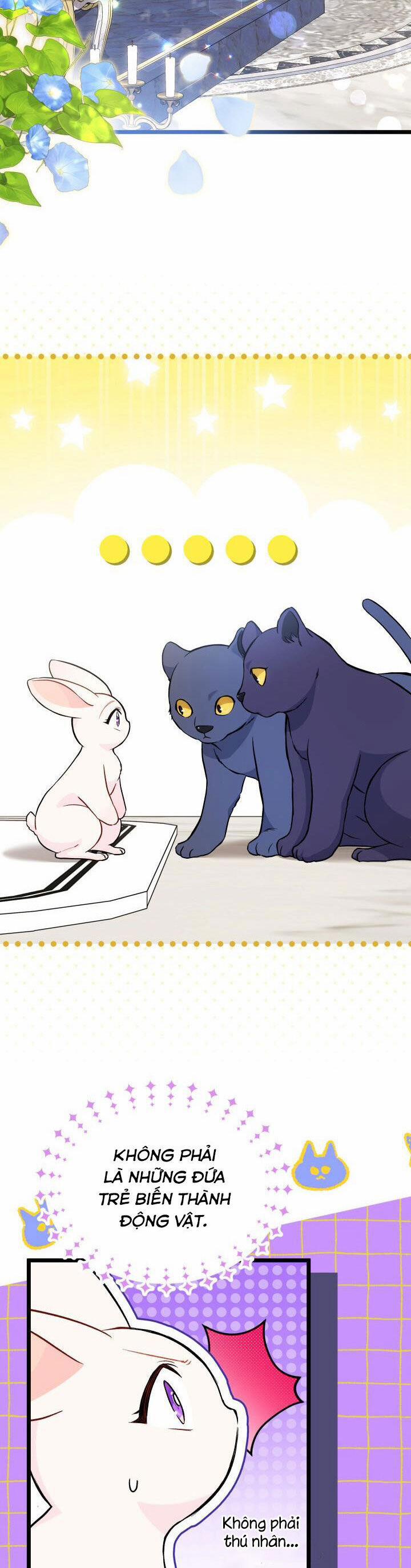 Quan Hệ Cộng Sinh Giữa Hắc Báo Và Bạch Thỏ 134 trang 7