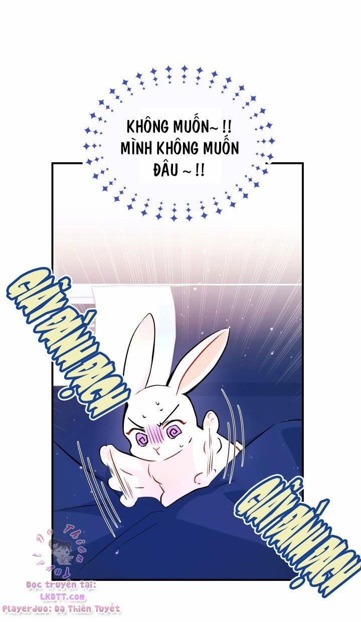 Quan Hệ Cộng Sinh Giữa Hắc Báo Và Bạch Thỏ 2 trang 12