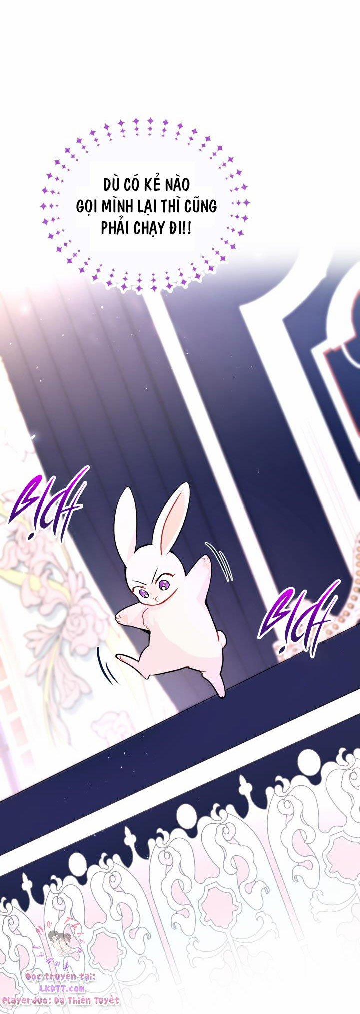 Quan Hệ Cộng Sinh Giữa Hắc Báo Và Bạch Thỏ 2 trang 14