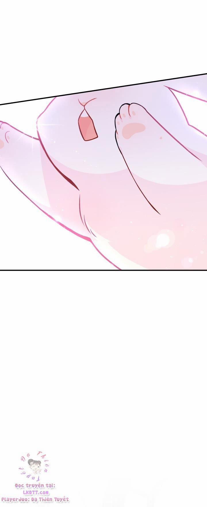 Quan Hệ Cộng Sinh Giữa Hắc Báo Và Bạch Thỏ 2 trang 16