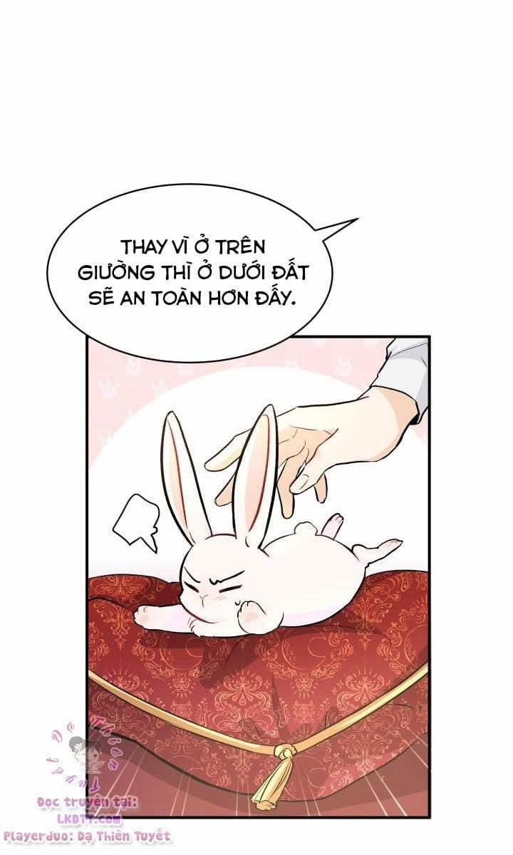 Quan Hệ Cộng Sinh Giữa Hắc Báo Và Bạch Thỏ 2 trang 23