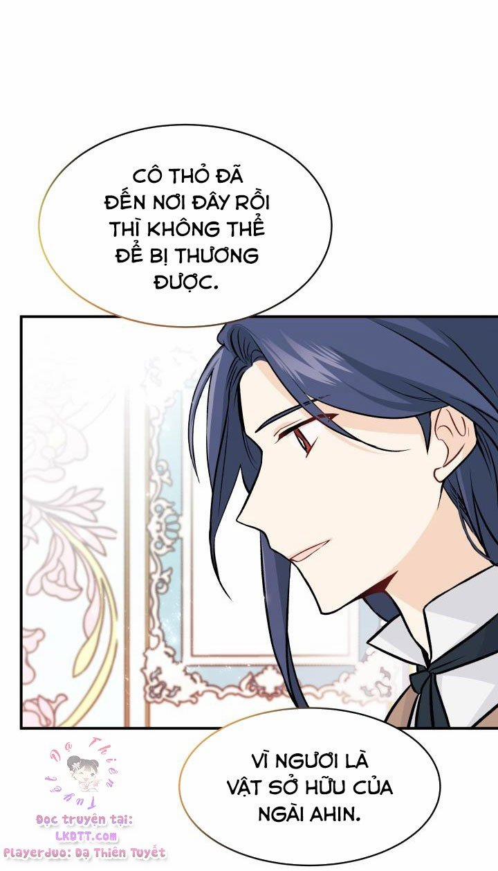 Quan Hệ Cộng Sinh Giữa Hắc Báo Và Bạch Thỏ 2 trang 24