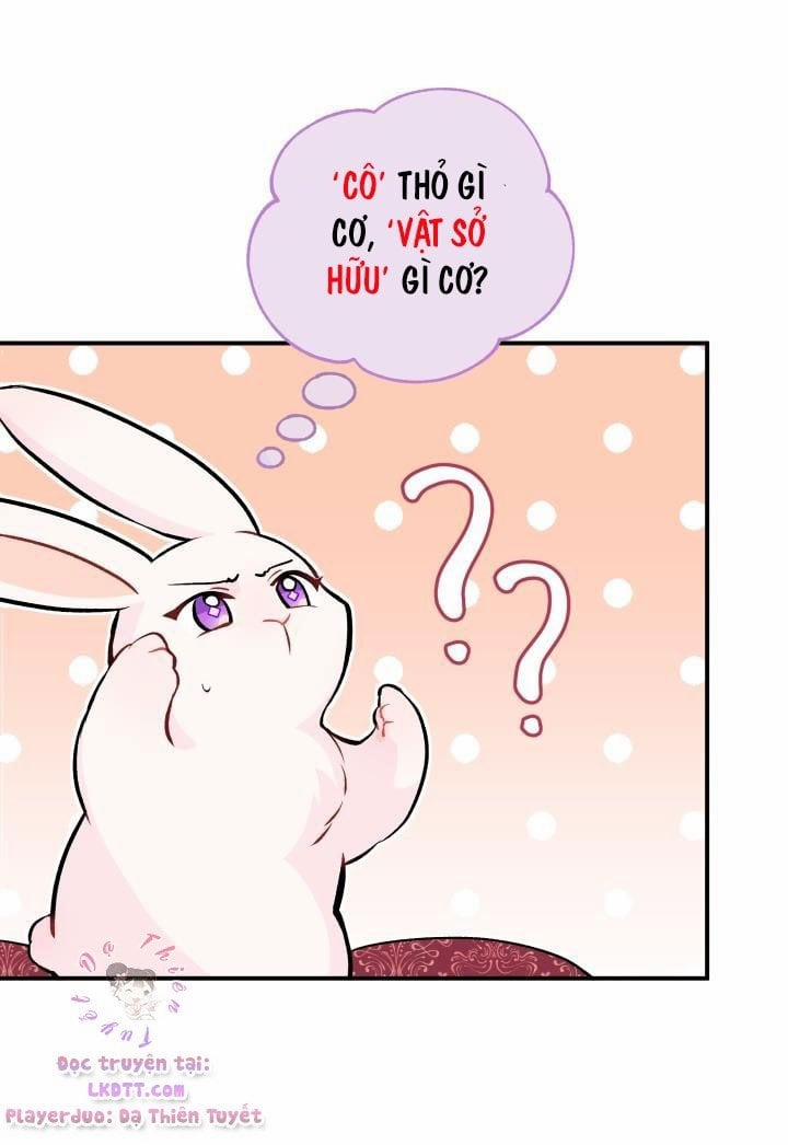 Quan Hệ Cộng Sinh Giữa Hắc Báo Và Bạch Thỏ 2 trang 25