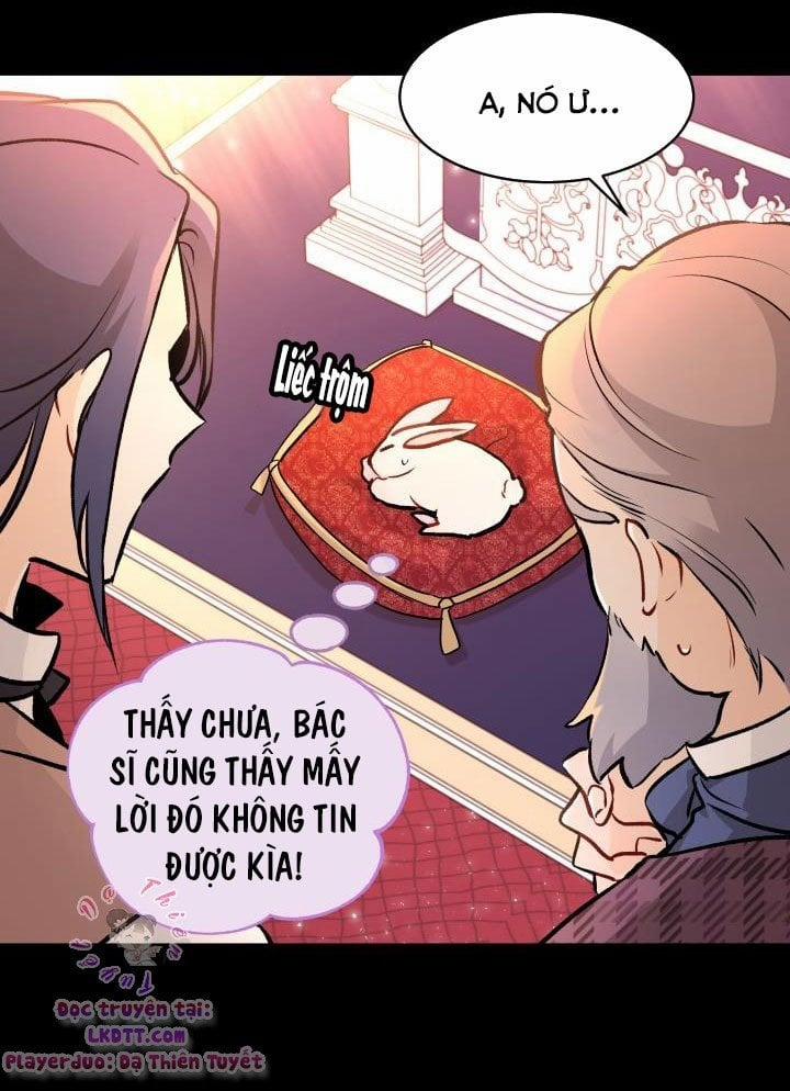 Quan Hệ Cộng Sinh Giữa Hắc Báo Và Bạch Thỏ 2 trang 42