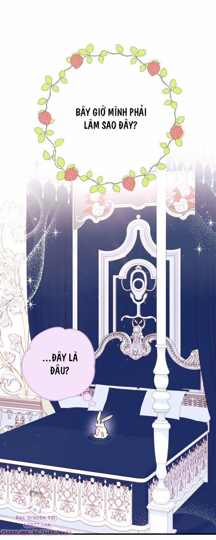 Quan Hệ Cộng Sinh Giữa Hắc Báo Và Bạch Thỏ 2 trang 6