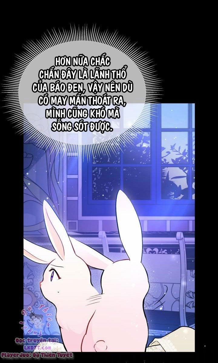 Quan Hệ Cộng Sinh Giữa Hắc Báo Và Bạch Thỏ 2 trang 74