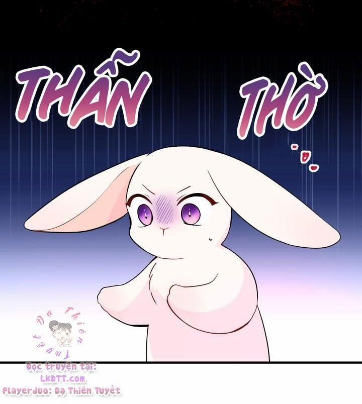 Quan Hệ Cộng Sinh Giữa Hắc Báo Và Bạch Thỏ 2 trang 9