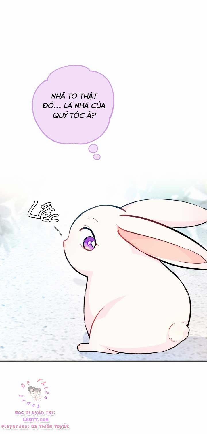 Quan Hệ Cộng Sinh Giữa Hắc Báo Và Bạch Thỏ 3 trang 43