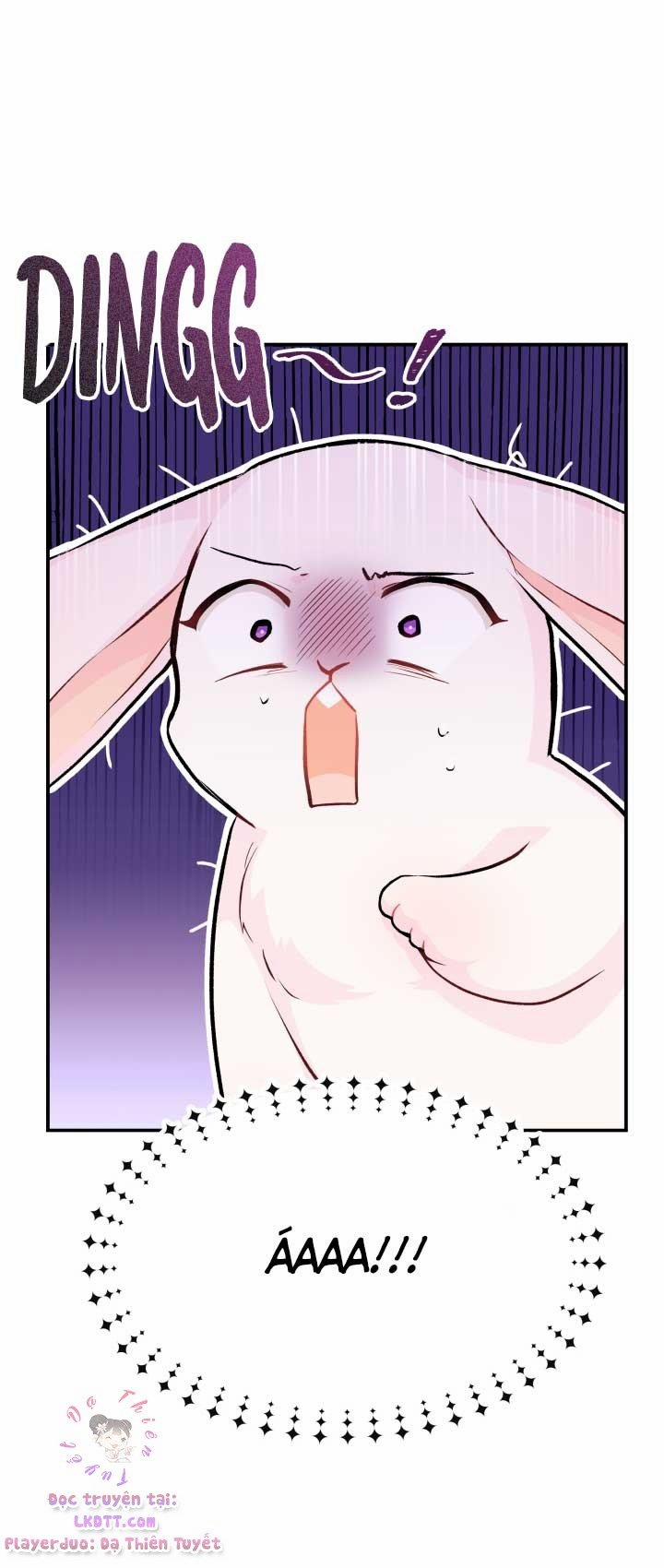 Quan Hệ Cộng Sinh Giữa Hắc Báo Và Bạch Thỏ 3 trang 5