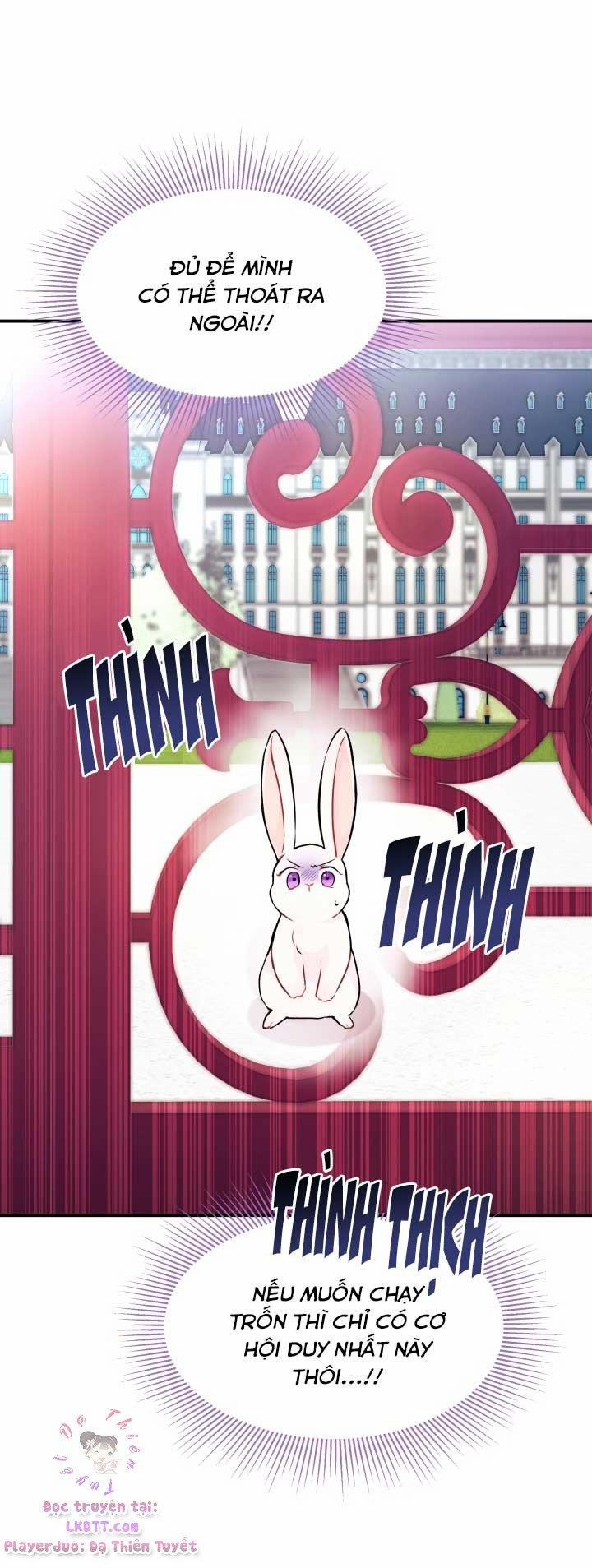 Quan Hệ Cộng Sinh Giữa Hắc Báo Và Bạch Thỏ 3 trang 50