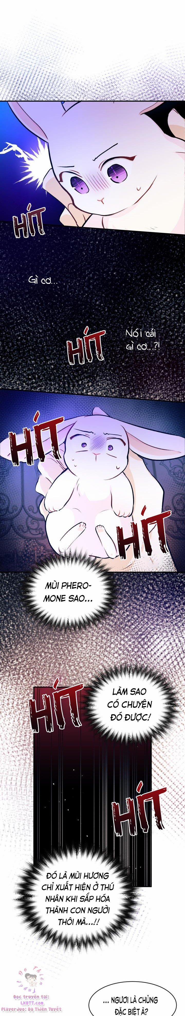 Quan Hệ Cộng Sinh Giữa Hắc Báo Và Bạch Thỏ 4 trang 19