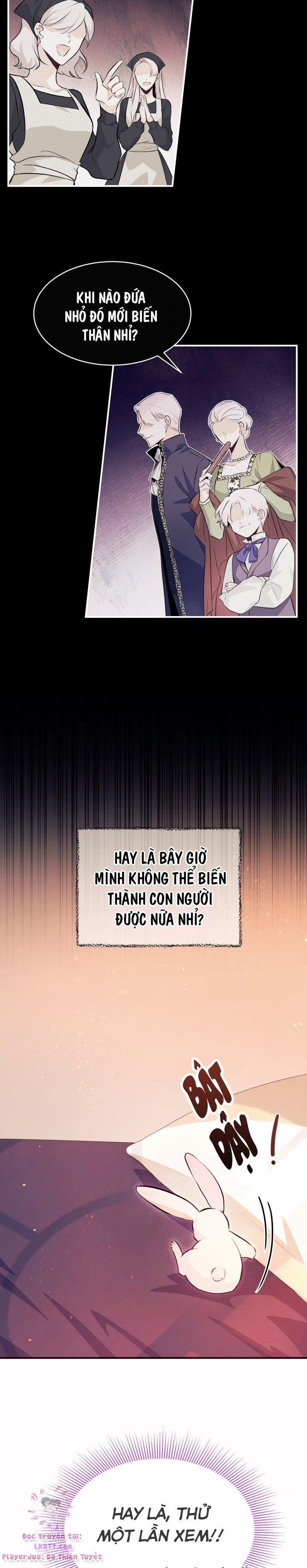 Quan Hệ Cộng Sinh Giữa Hắc Báo Và Bạch Thỏ 5 trang 16