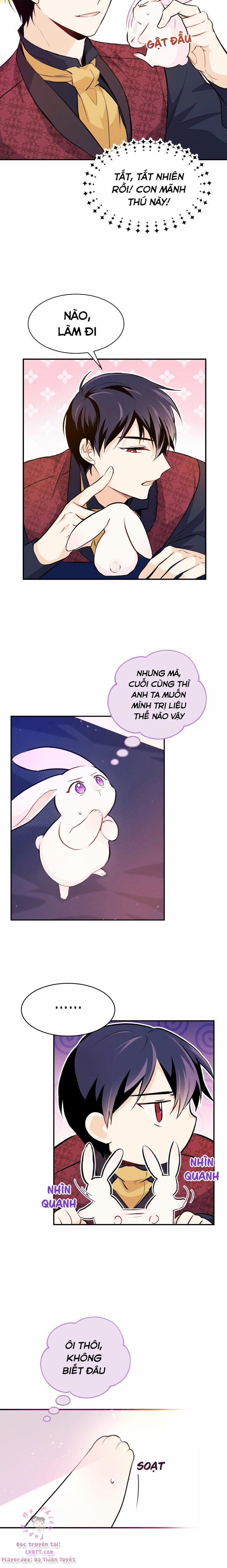 Quan Hệ Cộng Sinh Giữa Hắc Báo Và Bạch Thỏ 5 trang 22