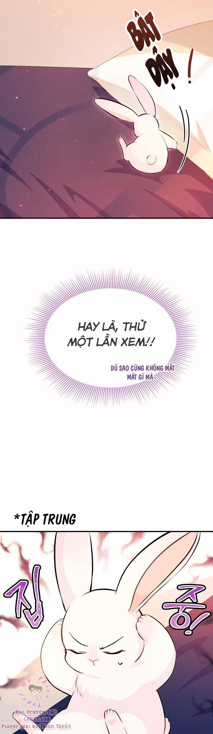 Quan Hệ Cộng Sinh Giữa Hắc Báo Và Bạch Thỏ 5 trang 26