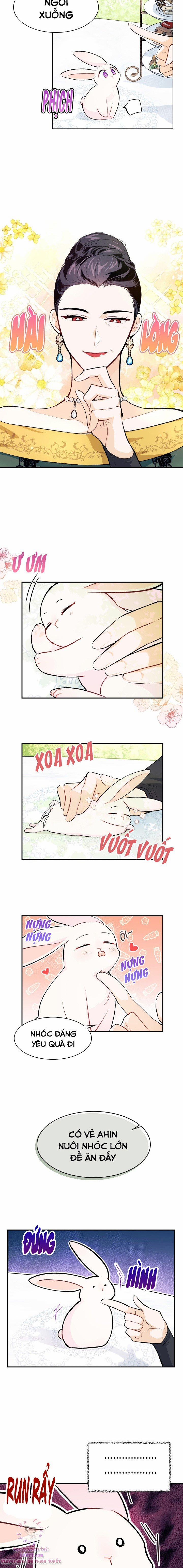 Quan Hệ Cộng Sinh Giữa Hắc Báo Và Bạch Thỏ 5 trang 8