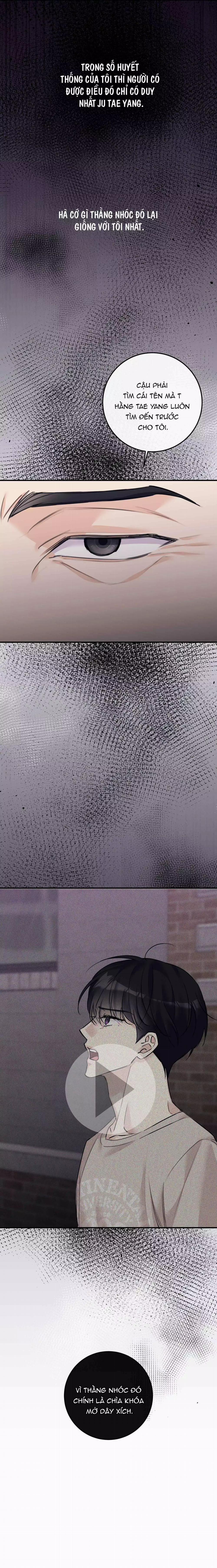 Quan Hệ Cộng Sinh Giữa Trời Và Trăng 36 trang 30