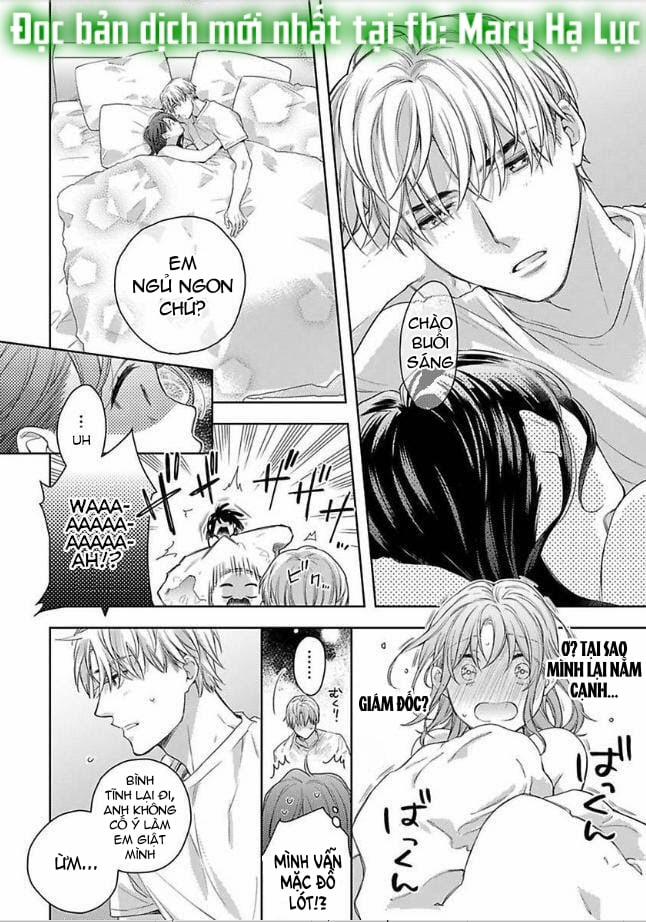 Quan Hệ Ngọt Ngào Trước Khi Yêu~ Giám Đốc Và Nàng Omega Định Mệnh 5.2 trang 0