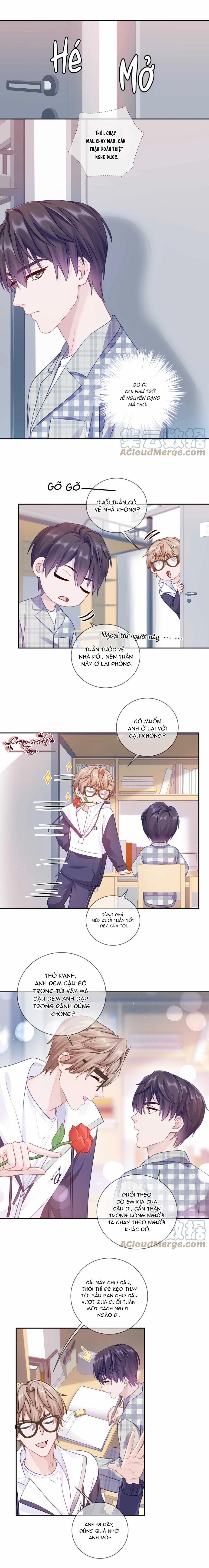 Quan Tâm Em Đi 22 trang 7