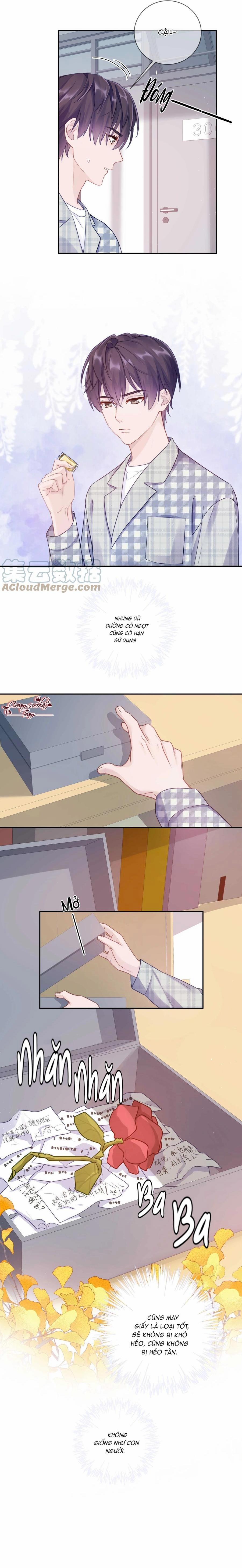 Quan Tâm Em Đi 22 trang 8
