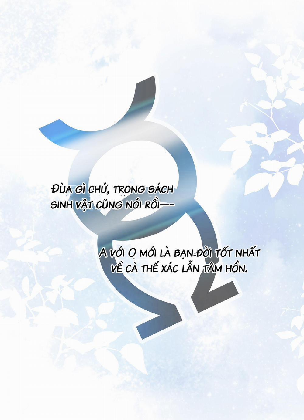 Quan Tâm Em Đi 5 trang 46