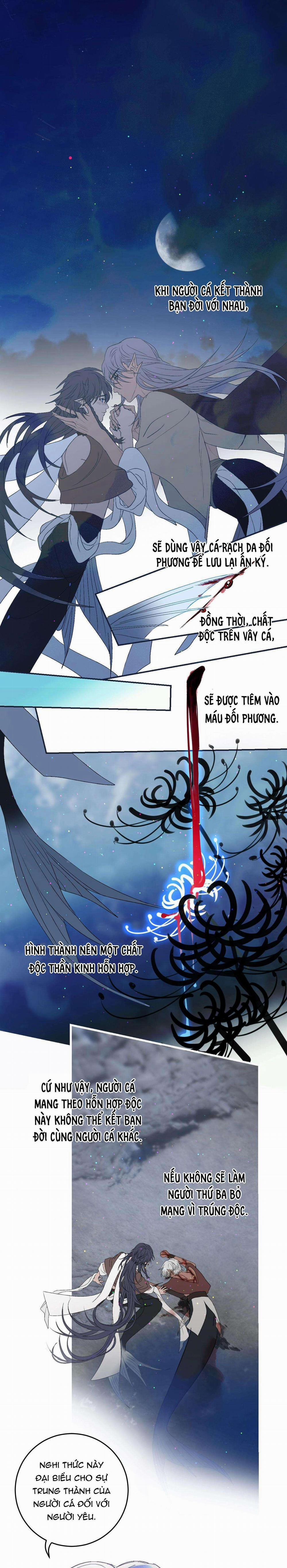 Quanh Năm Có Cá 10 trang 1