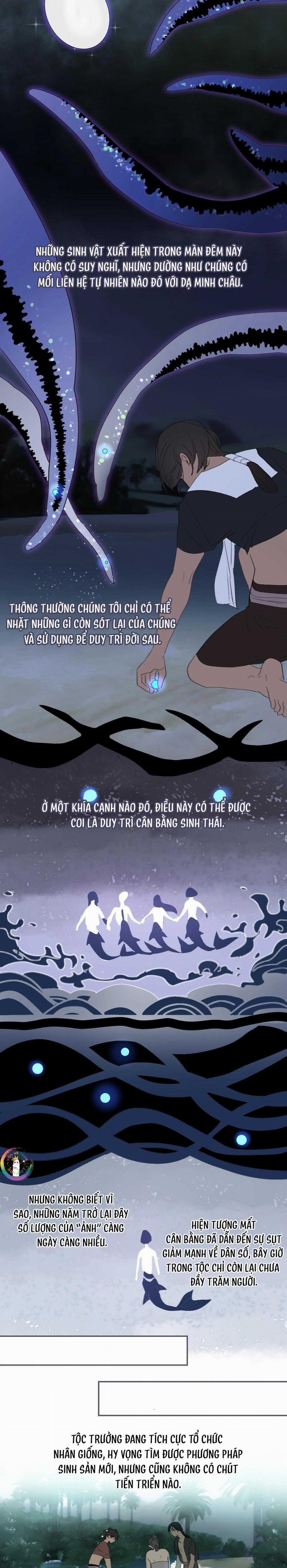 Quanh Năm Có Cá 15 trang 7