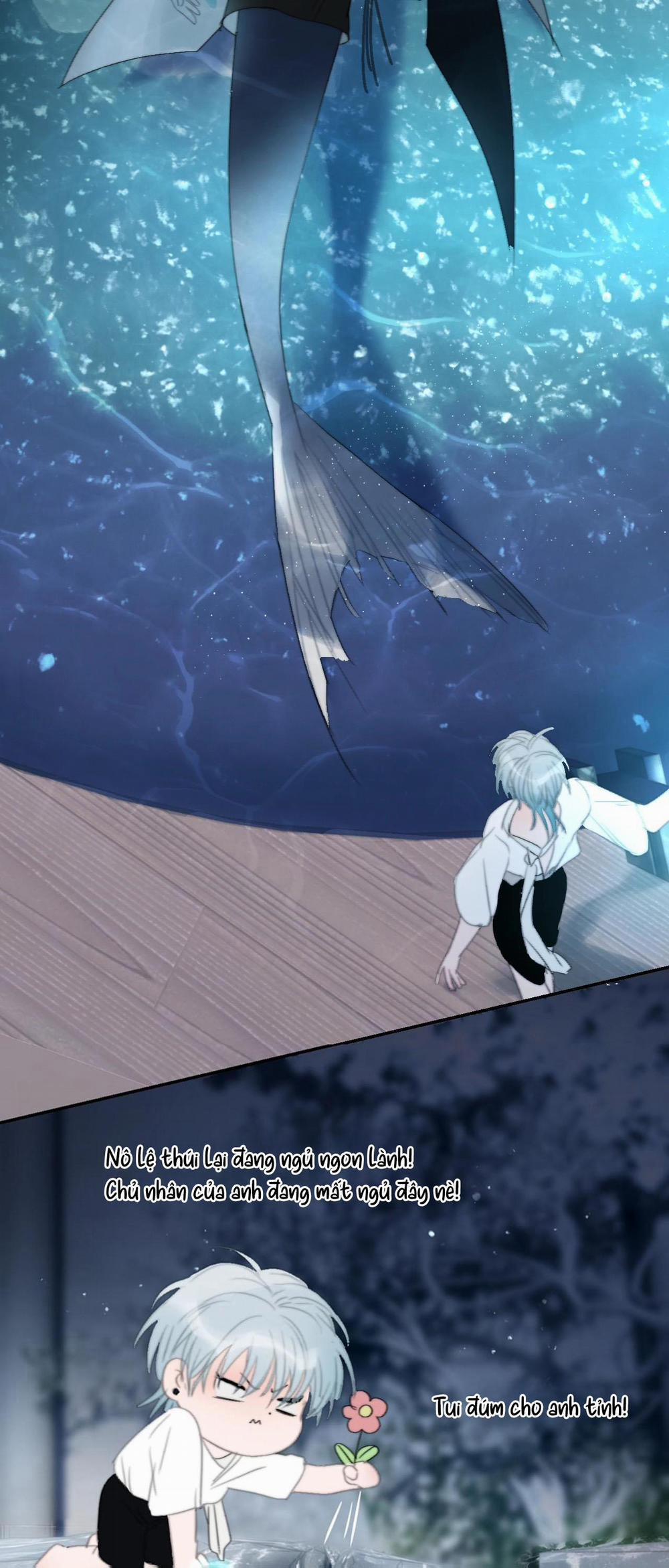 Quanh Năm Có Cá 21 trang 19