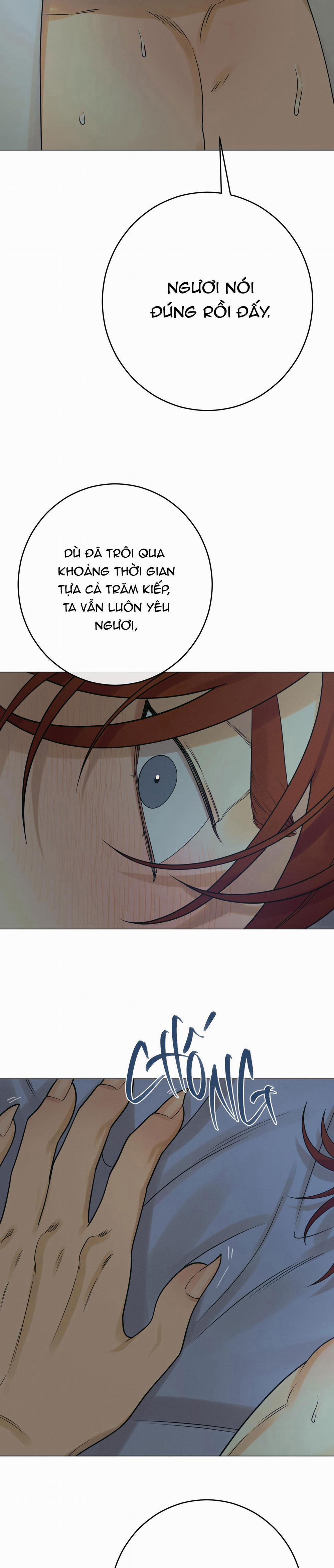 Quẻ Bói Giấc Mơ Của Yêu Tinh 25 trang 11