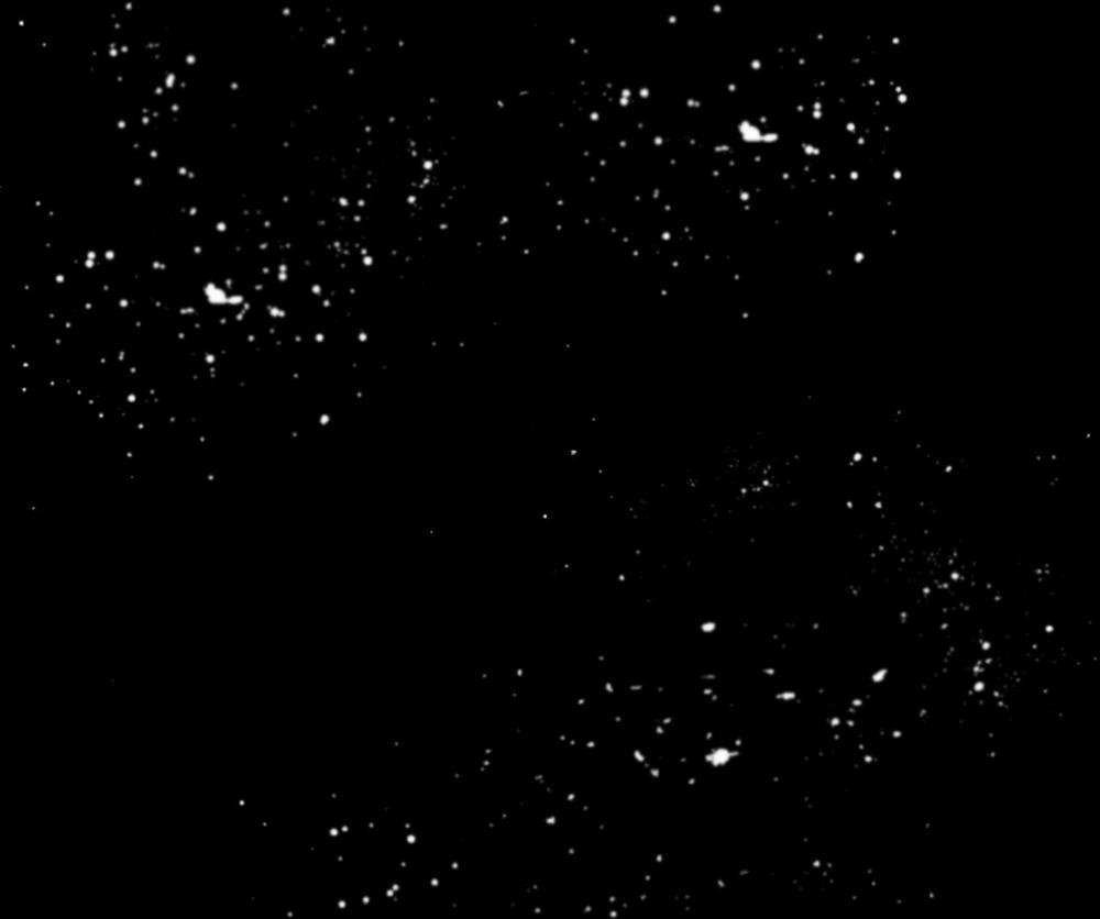 Quẻ Bói Giấc Mơ Của Yêu Tinh 39 trang 5