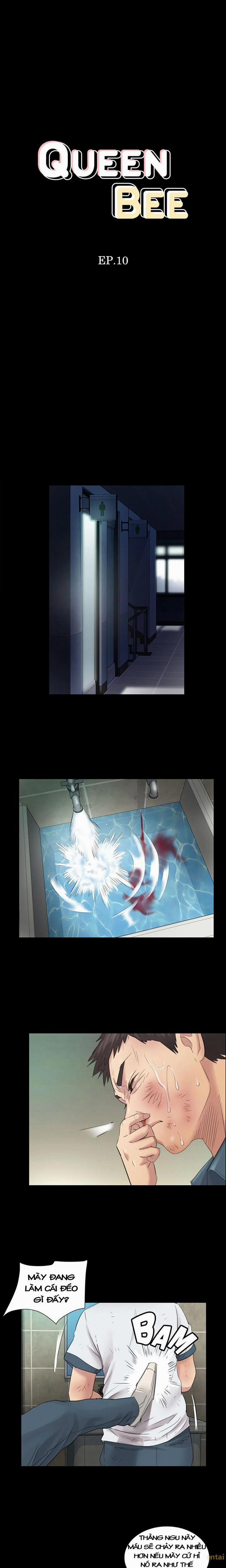 Queen Bee – Ong Chúa 10 trang 0