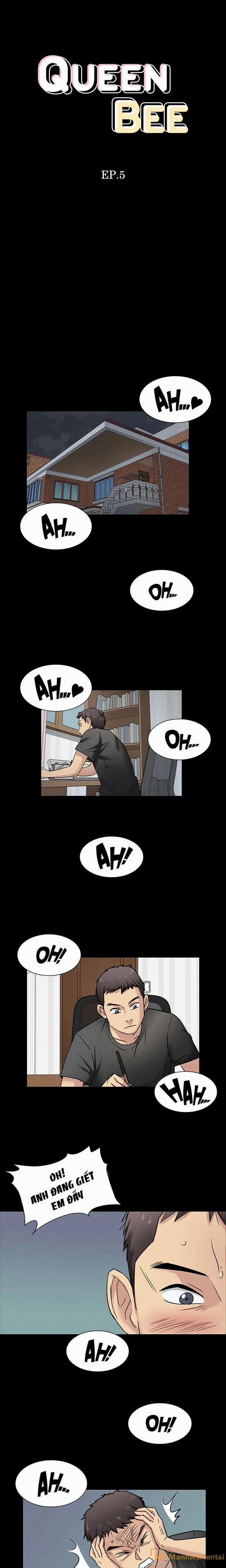 Queen Bee – Ong Chúa 5 trang 0