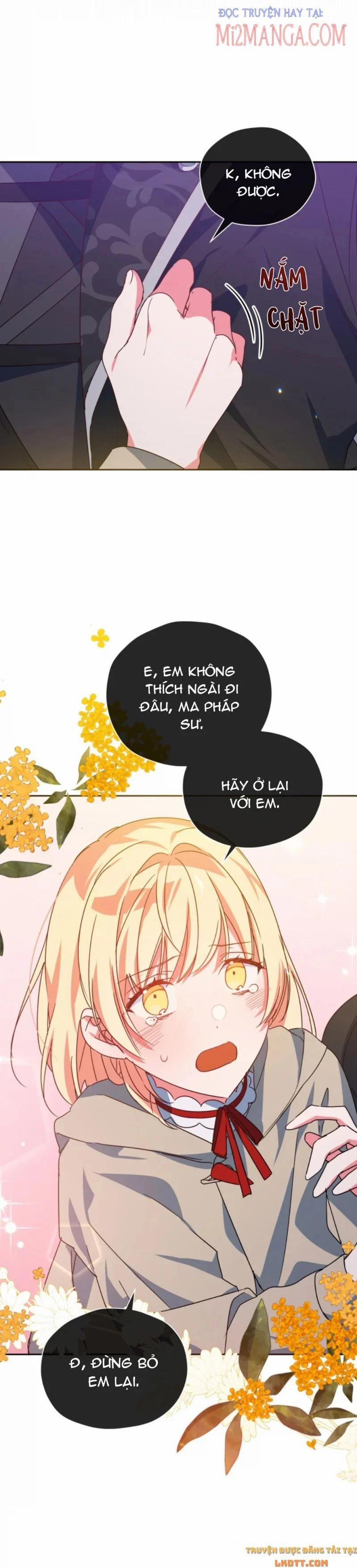 Quý Cô Trong Sáng, Elizabeth 36 trang 1