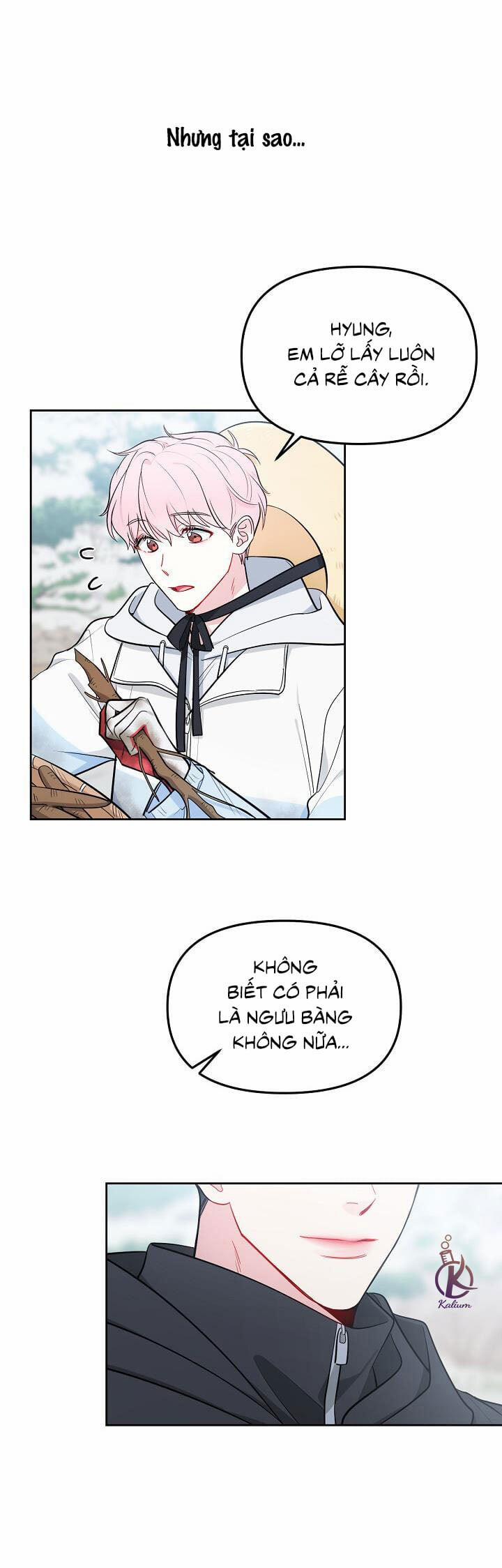 Quỹ đạo của vì sao 19.5 trang 14