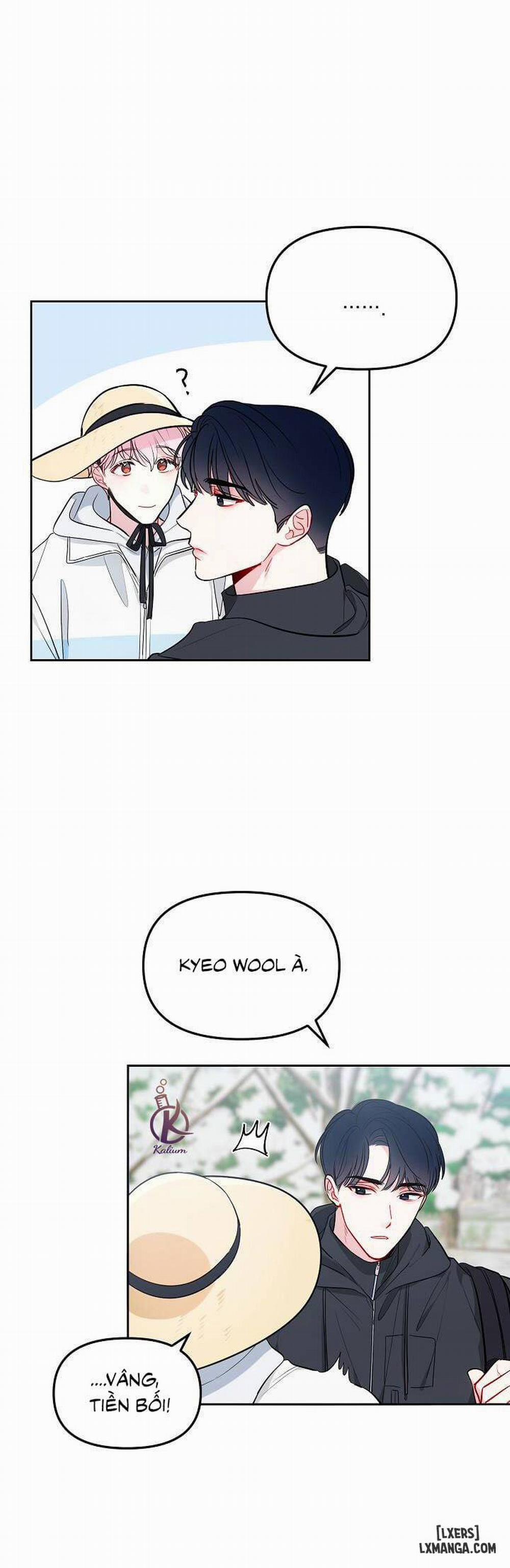 Quỹ đạo của vì sao 19 trang 15