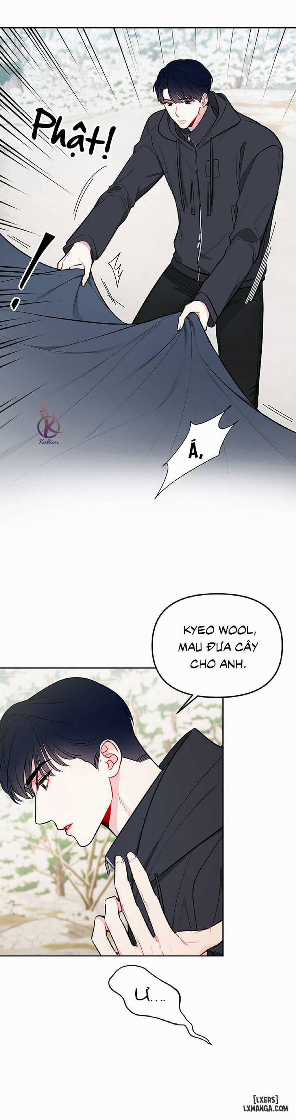 Quỹ đạo của vì sao 21 trang 3