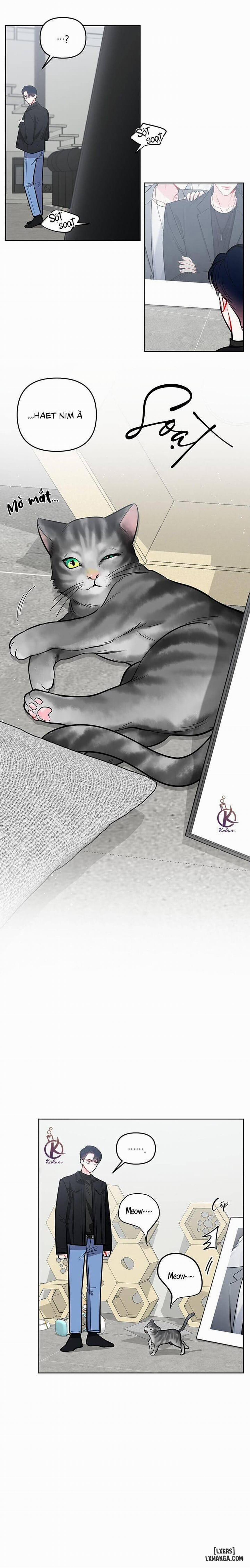 Quỹ đạo của vì sao 42 trang 11