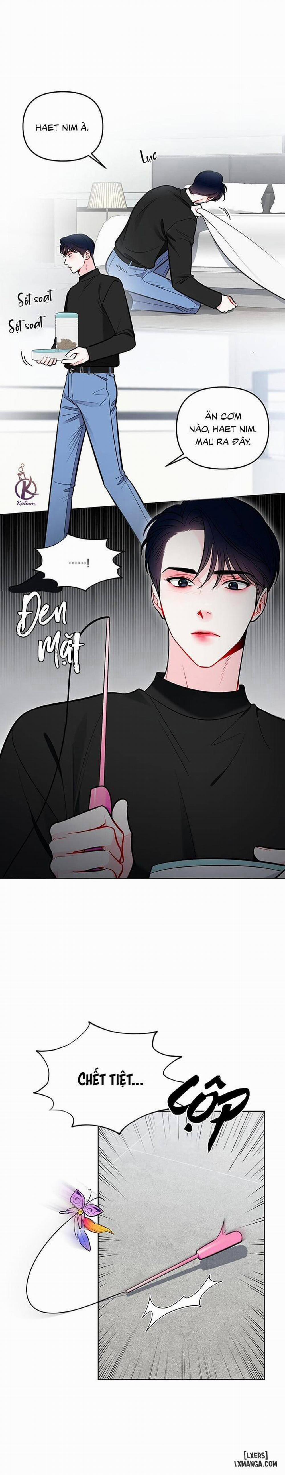 Quỹ đạo của vì sao 42 trang 8