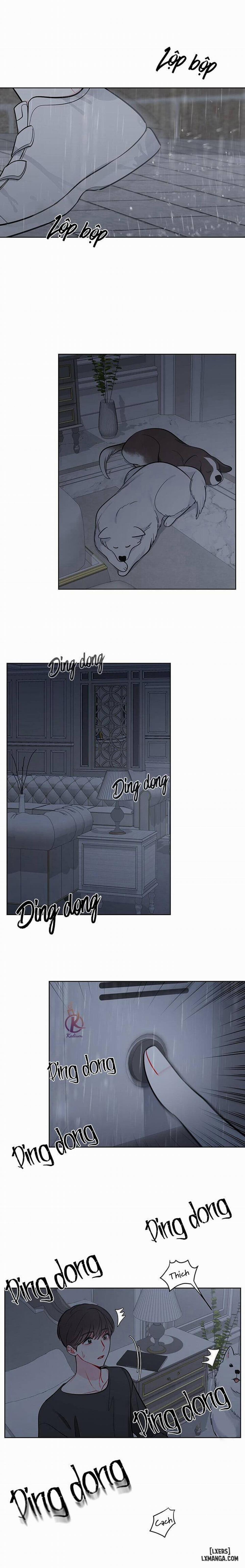 Quỹ đạo của vì sao 46 trang 11